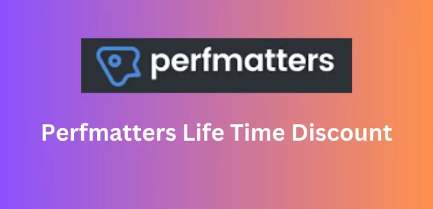 Perfmatters Life Time Discount