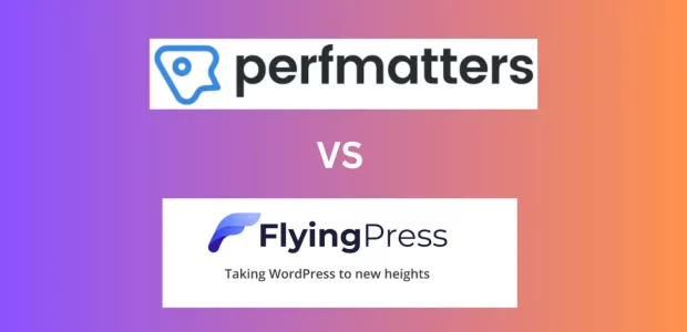 perfmatters vs flyingpress
