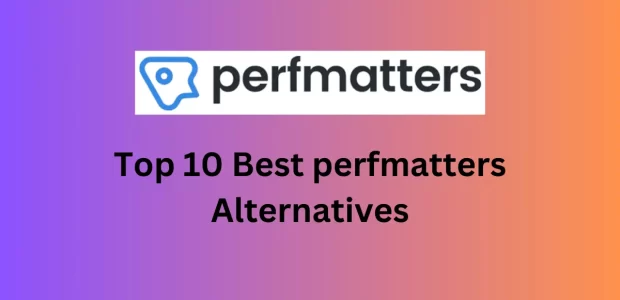 Top 10 Best Perfmatters Alternativersac
